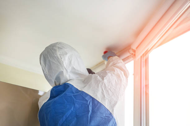 Best Environmental Consulting for Mold Prevention  in Old Miakka, FL